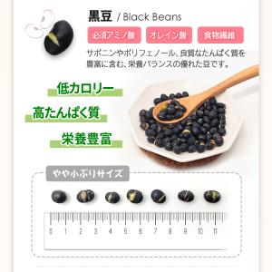 ミックスプラスナッツ1kg 5種 ミックスナッ...の詳細画像5