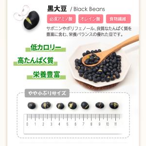 ミックスプラスナッツ1kg 5種 ミックスナッ...の詳細画像5