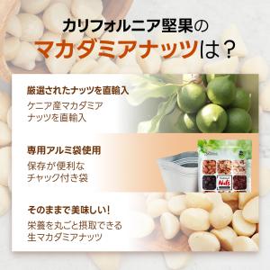 マカダミアナッツ 生 700g (ハーフサイズ...の詳細画像4