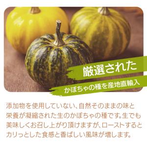 生かぼちゃの種 1kg 無塩 添加物不使用 植...の詳細画像3