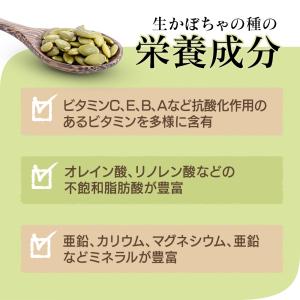 生かぼちゃの種 1kg 無塩 添加物不使用 植...の詳細画像5
