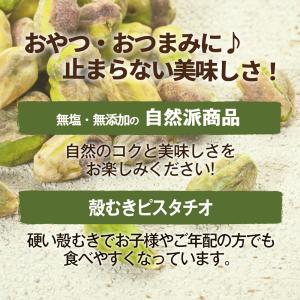 ピスタチオ(ロースト) 500g 殻なし 皮な...の詳細画像2