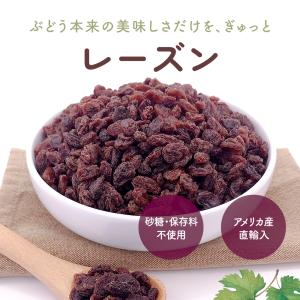 レーズン 1kg カリフォルニア産 直輸入 香...の詳細画像3