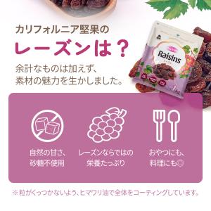 レーズン 1kg カリフォルニア産 直輸入 香...の詳細画像4