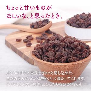 レーズン 1kg カリフォルニア産 直輸入 香...の詳細画像5
