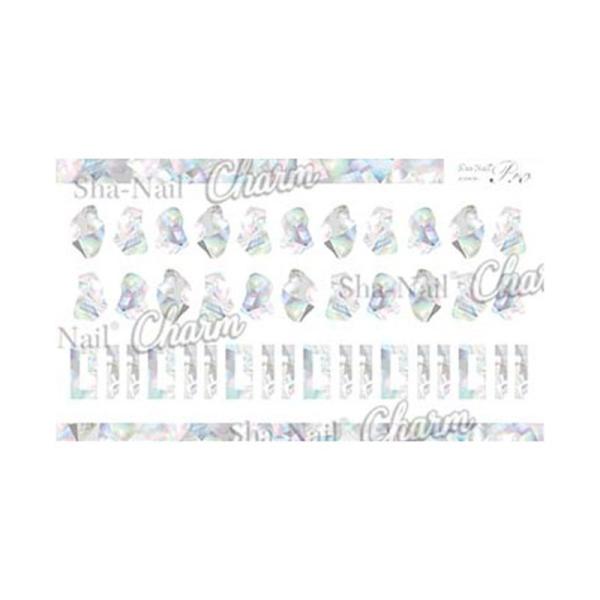 写ネイル Charm スターライトシェル[L」]