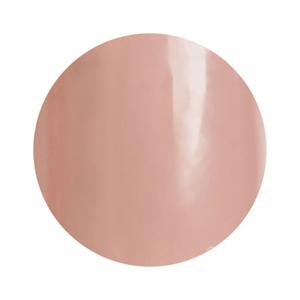 para gel パラジェル アートトップジェル 25g : ネイルショップ