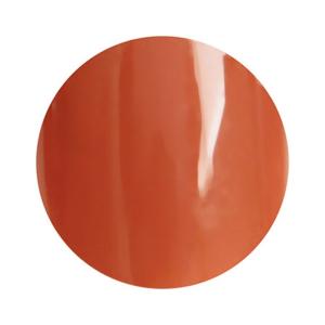 para gel パラジェル カラージェル S054 ブラン 4g : ネイルショップ