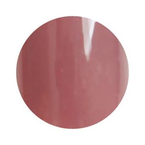 para gel パラジェル カラージェル S054 ブラン 4g : ネイルショップ
