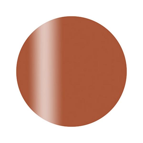 Calgel カルジェル カラージェル プラス M01BR キャメルブラウン