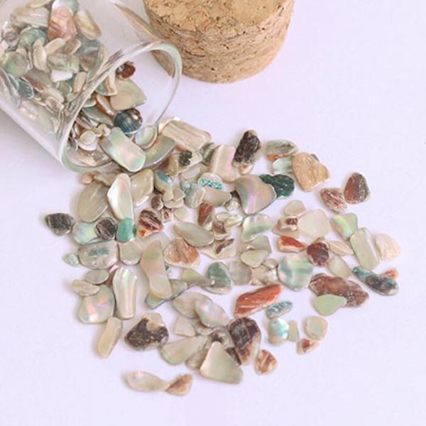 SHAREYDVA シャレドワ グロスシェル ナチュラル S