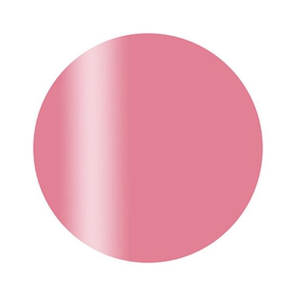 Calgel カルジェル カラージェル プラス S04PI ピーチブロッサム