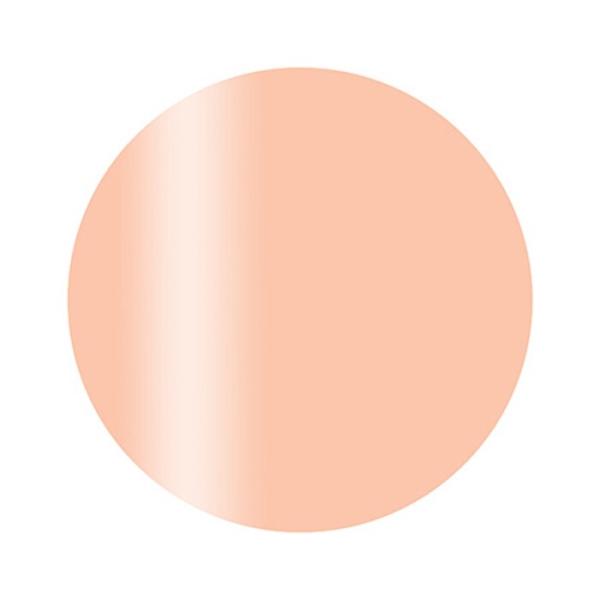 Calgel カルジェル カラージェル プラス S01BE ソフトベージュ