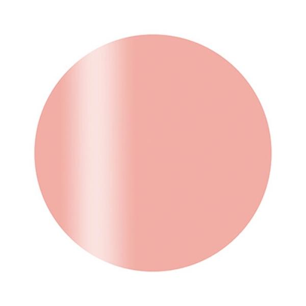 Calgel カルジェル カラージェル プラス S02BE ベージュローゼ