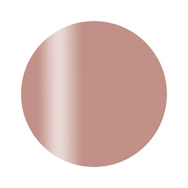 Calgel カルジェル カラージェル プラス S02BR ブラージュ