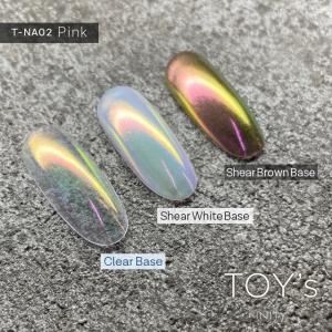 TOY's × INITY トイズバイアイニティ ニューオーロラパウダー T-NA01