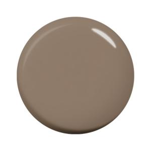 para gel パラジェル カラージェル S054 ブラン 4g : ネイルショップ