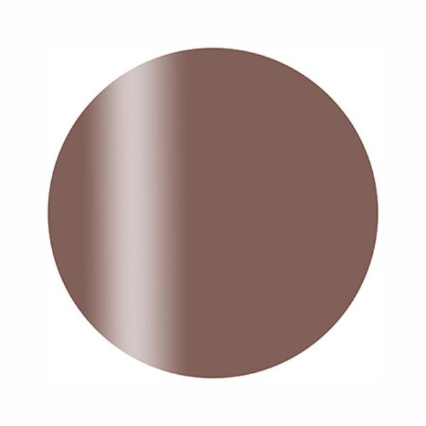 Calgel カルジェル  カラージェル プラス シアーセピア CGS05BR 2.5g