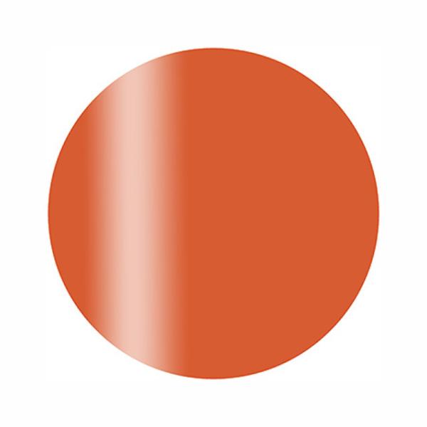 Calgel カルジェル カラージェル プラス バーントシェンナ