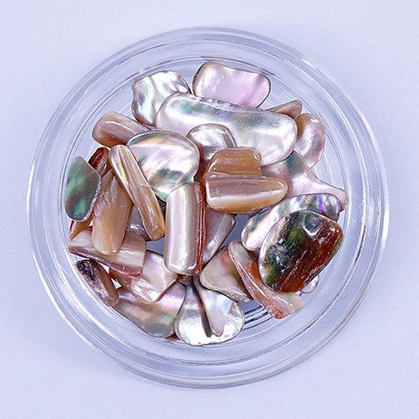 SONAIL PLUS AIKOセレクト シェルフレークボックス FY000138 3g