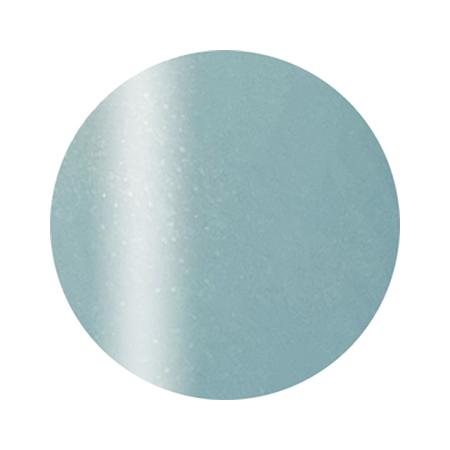 Calgel カルジェル カラーカルジェル プラス P07BL スカイパール 2.5g