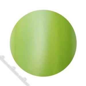 Dna Gel(ディーナジェル) カラージェル MG01 ピスタチオ 2.5g