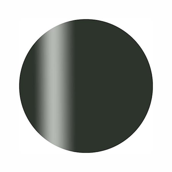 Calgel カルジェル  カラージェル プラス  S09GR ディープカーキ 2.5g