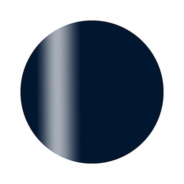 Calgel カルジェル  カラージェル プラス  S09BL ダークネイビー 2.5g