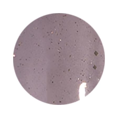 PREGEL プリジェル プリムドール ミューズ　レディ・パナシア パナシアアイズ PDU-GB96...