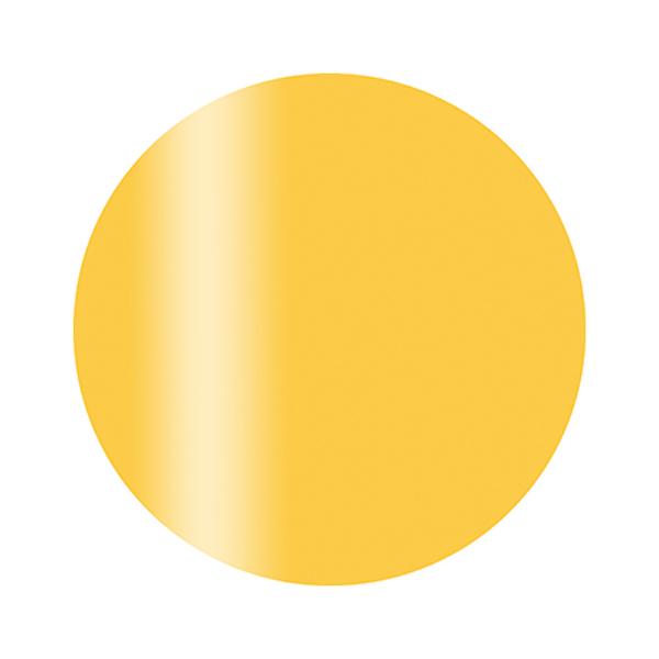 Calgel カルジェル カラージェル プラス CGM06YE サンイエロー 2.5g