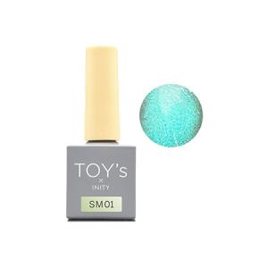 TOY's × INITY シュガーマグコレクション TSMST 6色セット : ネイル