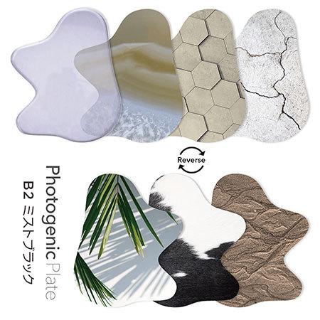 TOY's × INITY トイズバイアイニティ フォトジェニックプレート B2 ミストブラック