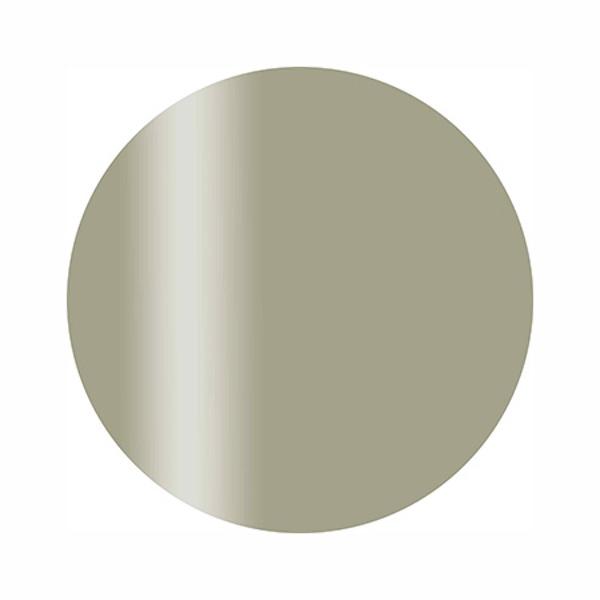 Calgel カルジェル カラージェル プラス CGP13GR ミスティリーフ 2.5g