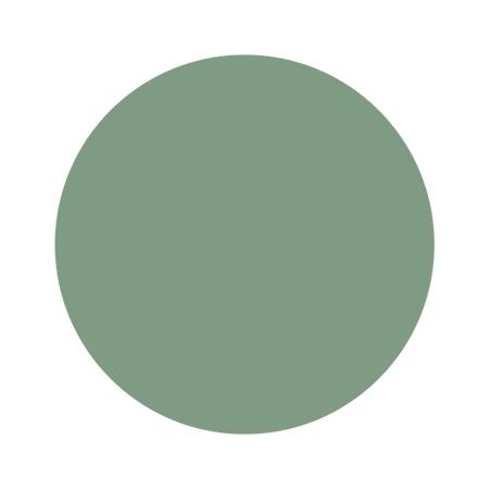 PREGEL プリジェル ミューズ ソポヴァリシリーズ メッツァグリーン PGU-M1050 3g