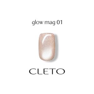 CLETO クレト スキンマグ skin mag 全6色 : ネイルショップキャラカ