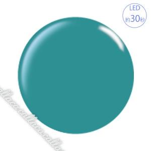 para gel パラジェル カラージェル S054 ブラン 4g : ネイルショップ