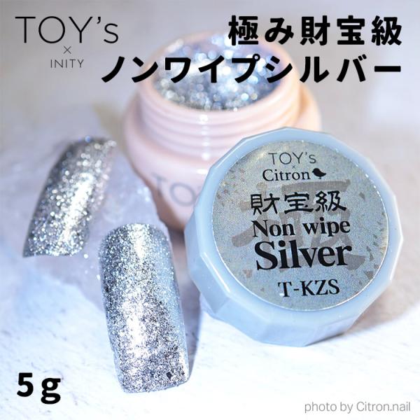TOY's × INITY トイズバイアイニティ 極み財宝級ノンワイプシルバー 5g