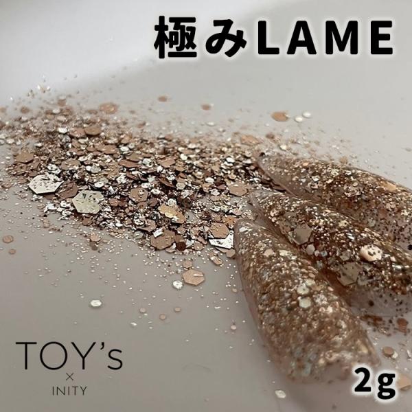 TOY's × INITY トイズアイニティ 極みLAME ラメ 2g T-KLM シャンパン ゴー...