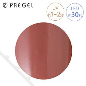 PREGEL プリジェル カラーEX イングリッシュレッドR PG-CEN109 3g