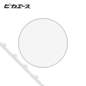 ピカエース  透明顔料  #901 ナチュラルホワイト   約2 g