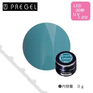 PREGEL  プリジェル カラーEX ナチュラルストーンシリーズ ターコイズグリーン PG-CE8...