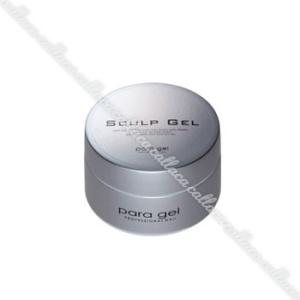 para gel パラジェル カラージェル S054 ブラン 4g : ネイルショップ