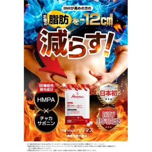 Herimus ヘリマス 30粒入り15日 ダ...の詳細画像1