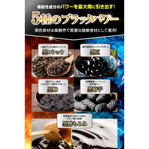 Herimus ヘリマス 30粒入り15日 ダ...の詳細画像4
