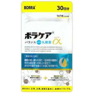 アルタイのNS乳酸菌 NS-Dx 60粒 : PositivoRegalo - 通販 - Yahoo