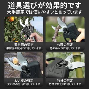剪定ばさみ 充電 切断回数と電池残量表 延長ロ...の詳細画像2