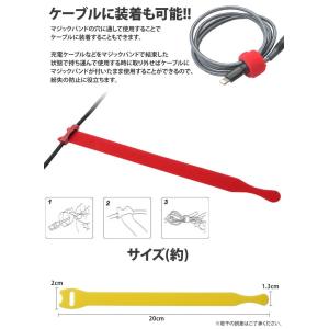 マジックバンド 50本セット マジックテープ ...の詳細画像3