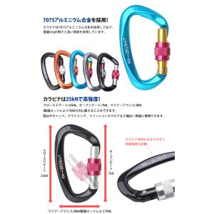 カラビナ 25kN D型 安全環 スクリューロ...の詳細画像2