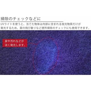 ブラックライト 紫外線ライト USB充電式 3...の詳細画像3