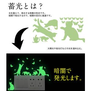 蓄光ステッカー 猫 ねこ 夜光ステッカー ウォ...の詳細画像2